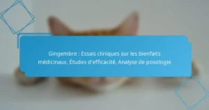 Gingembre : Essais cliniques sur les bienfaits médicinaux, Études d’efficacité, Analyse de posologie