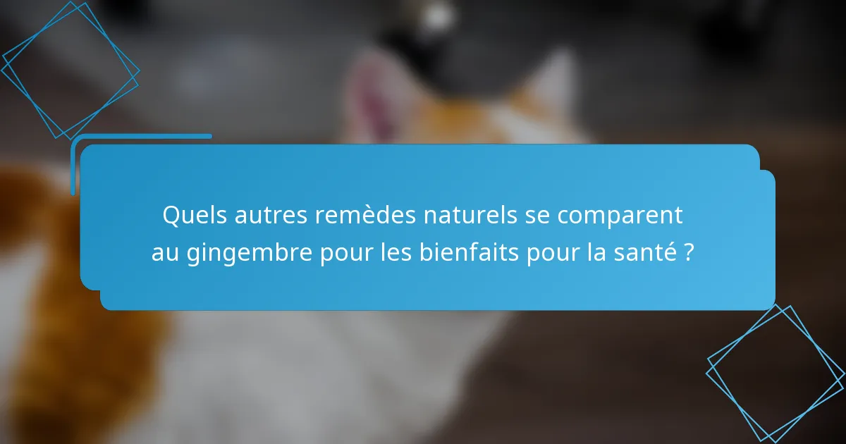 Quels autres remèdes naturels se comparent au gingembre pour les bienfaits pour la santé ?