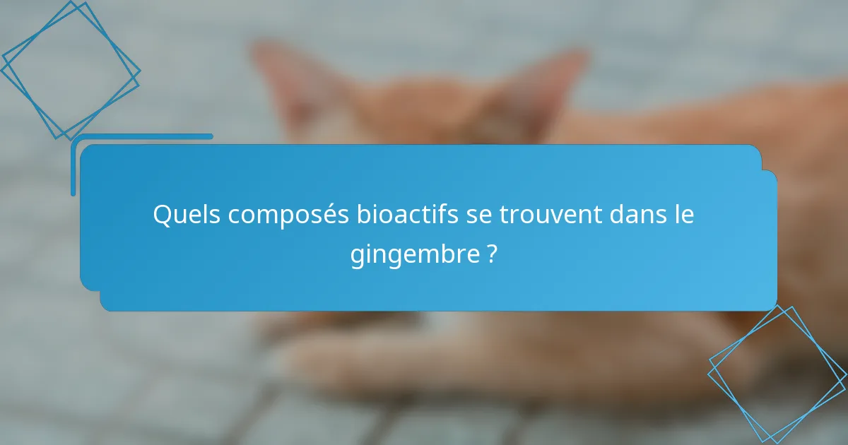 Quels composés bioactifs se trouvent dans le gingembre ?