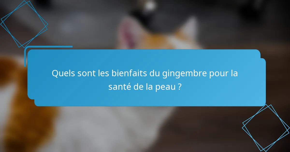 Quels sont les bienfaits du gingembre pour la santé de la peau ?