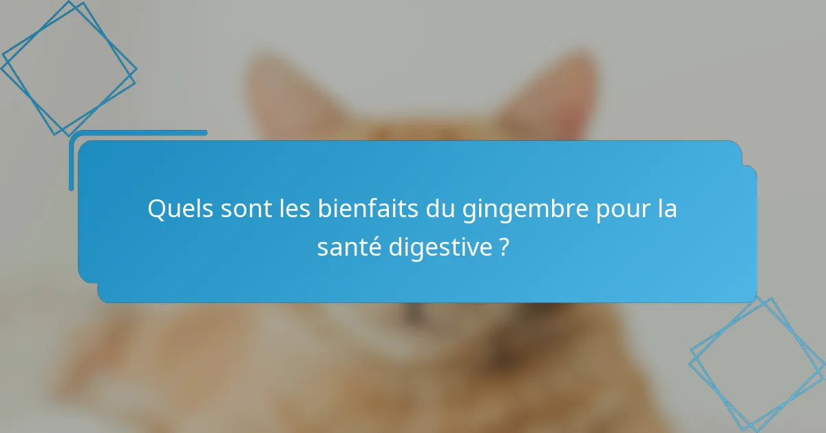 Quels sont les bienfaits du gingembre pour la santé digestive ?