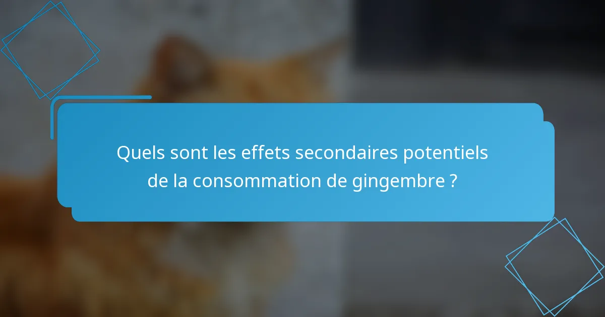 Quels sont les effets secondaires potentiels de la consommation de gingembre ?